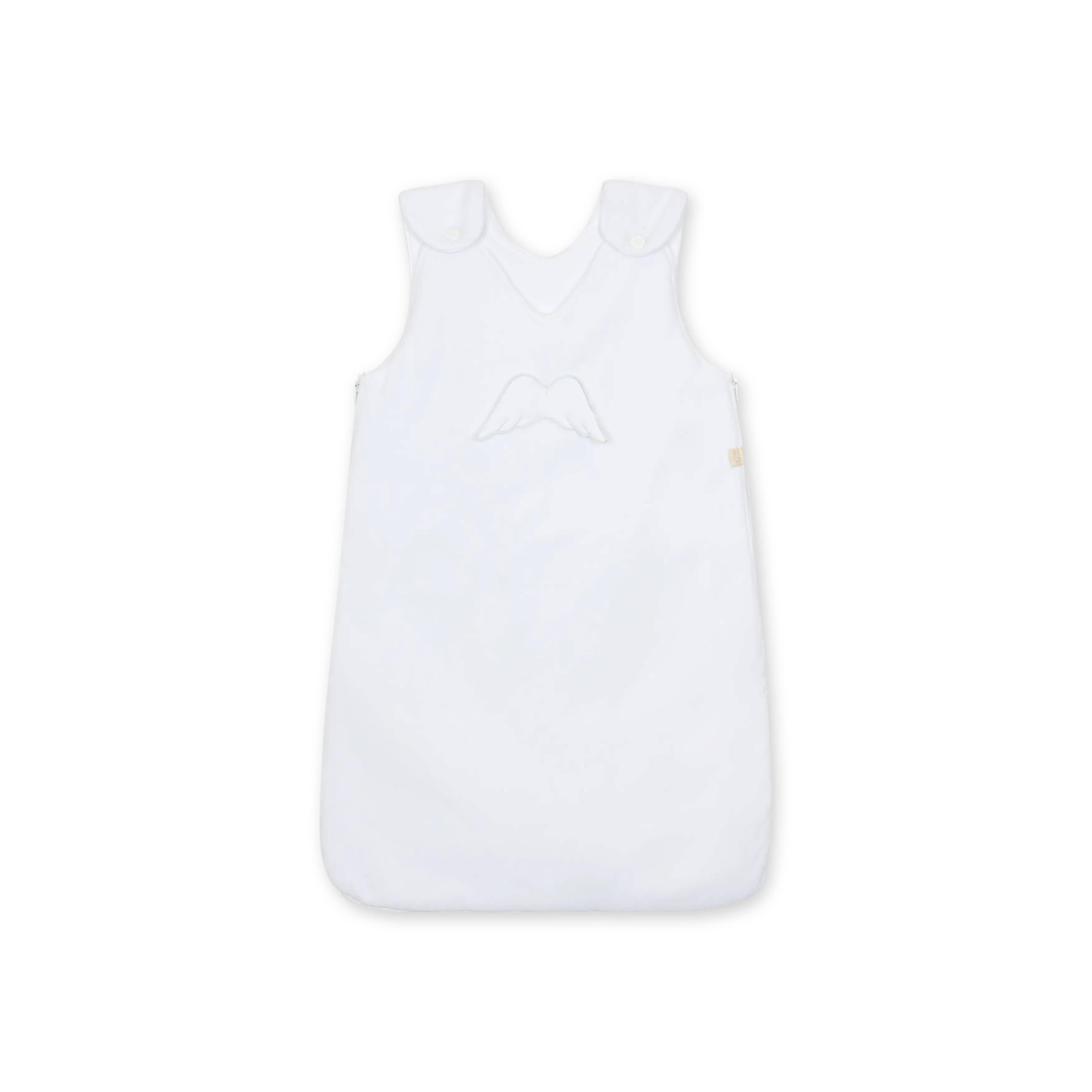 AG62_L00.I00.webp?202601302324