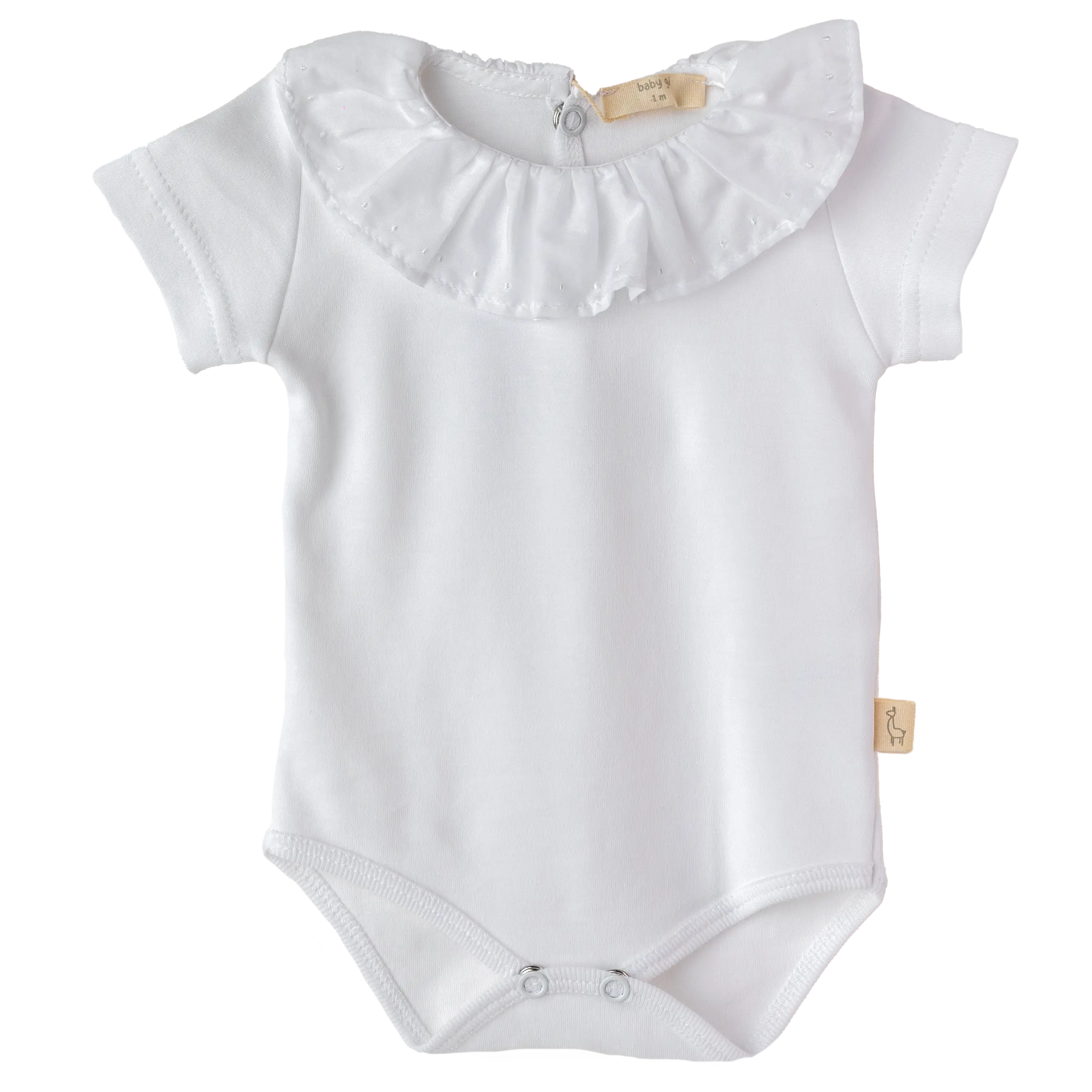 BODY FOLHO M. CURTA C/ PINTINHAS