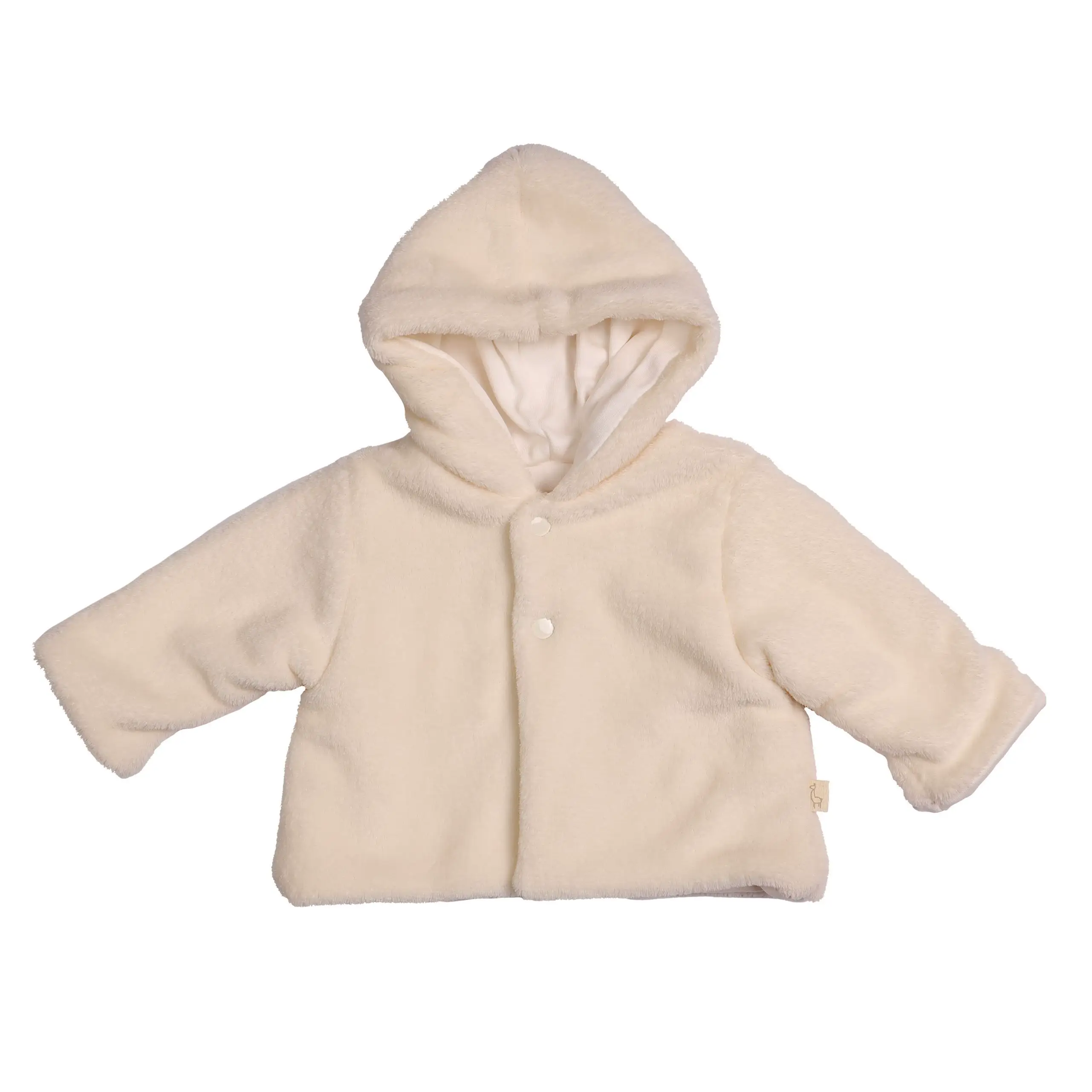 BG81_FF01.webp?202503220015