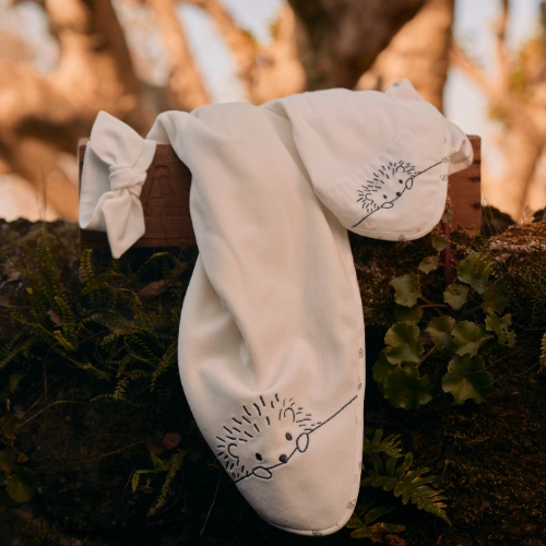 MANTA HEDGEHOG